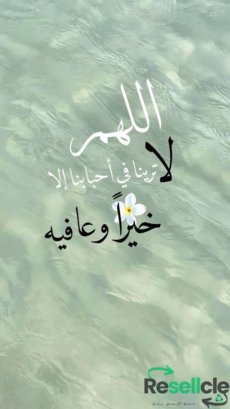 احمد سيد سيلمان