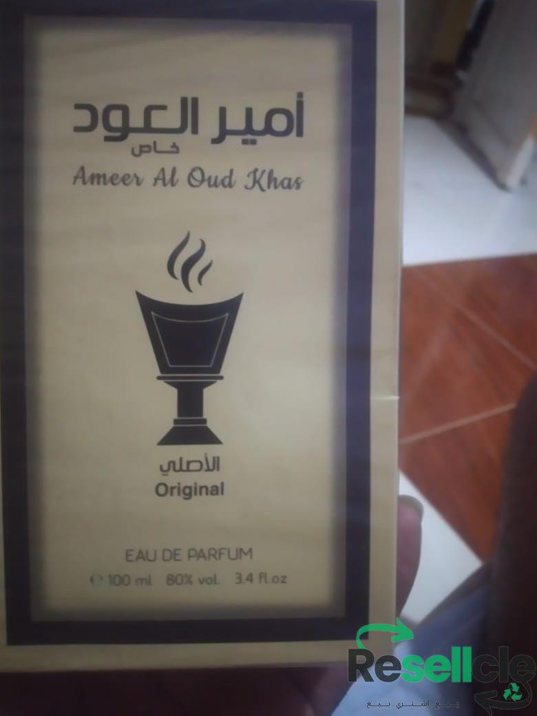 هالة اشرف